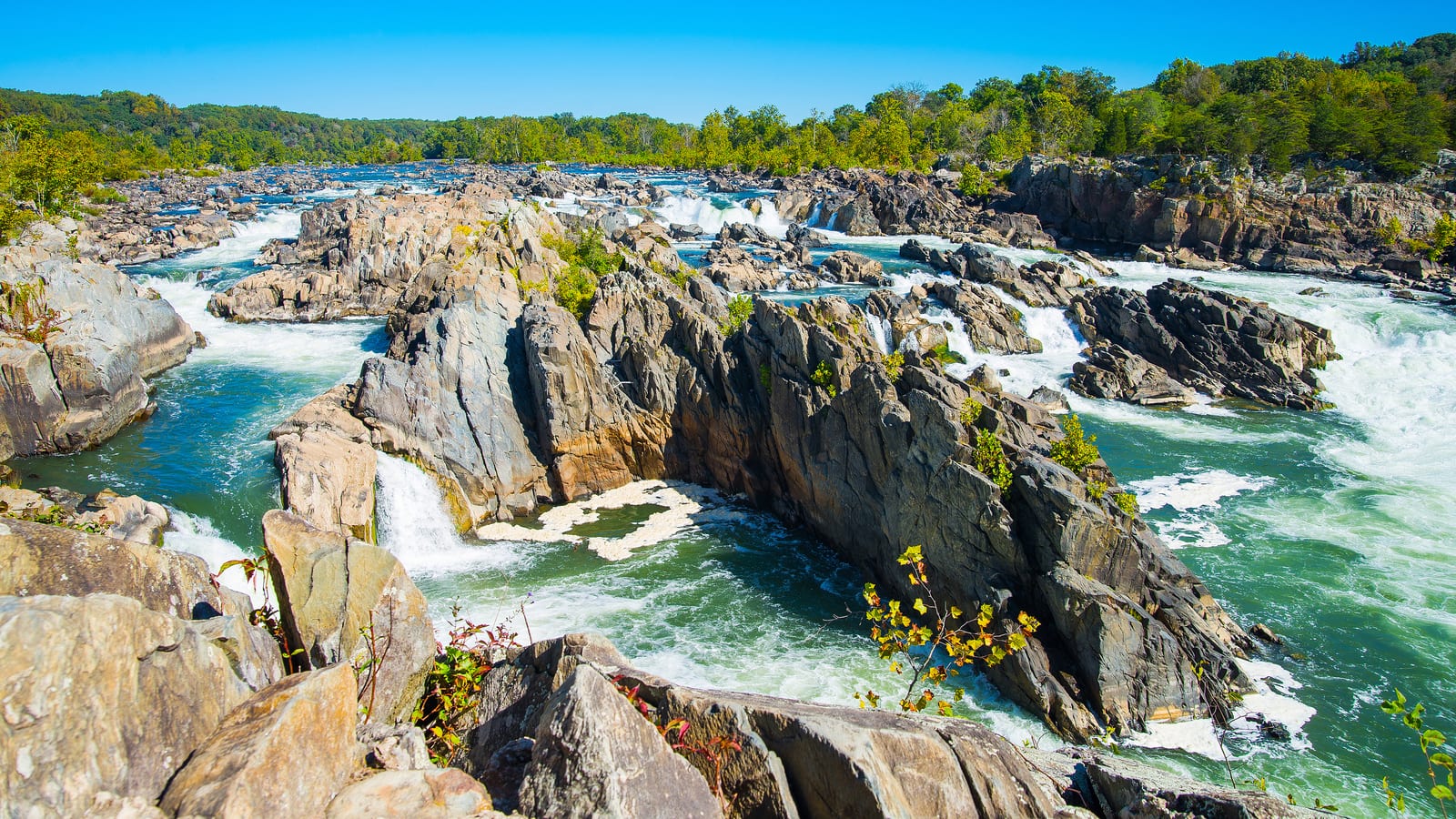 Great Falls, Virginia